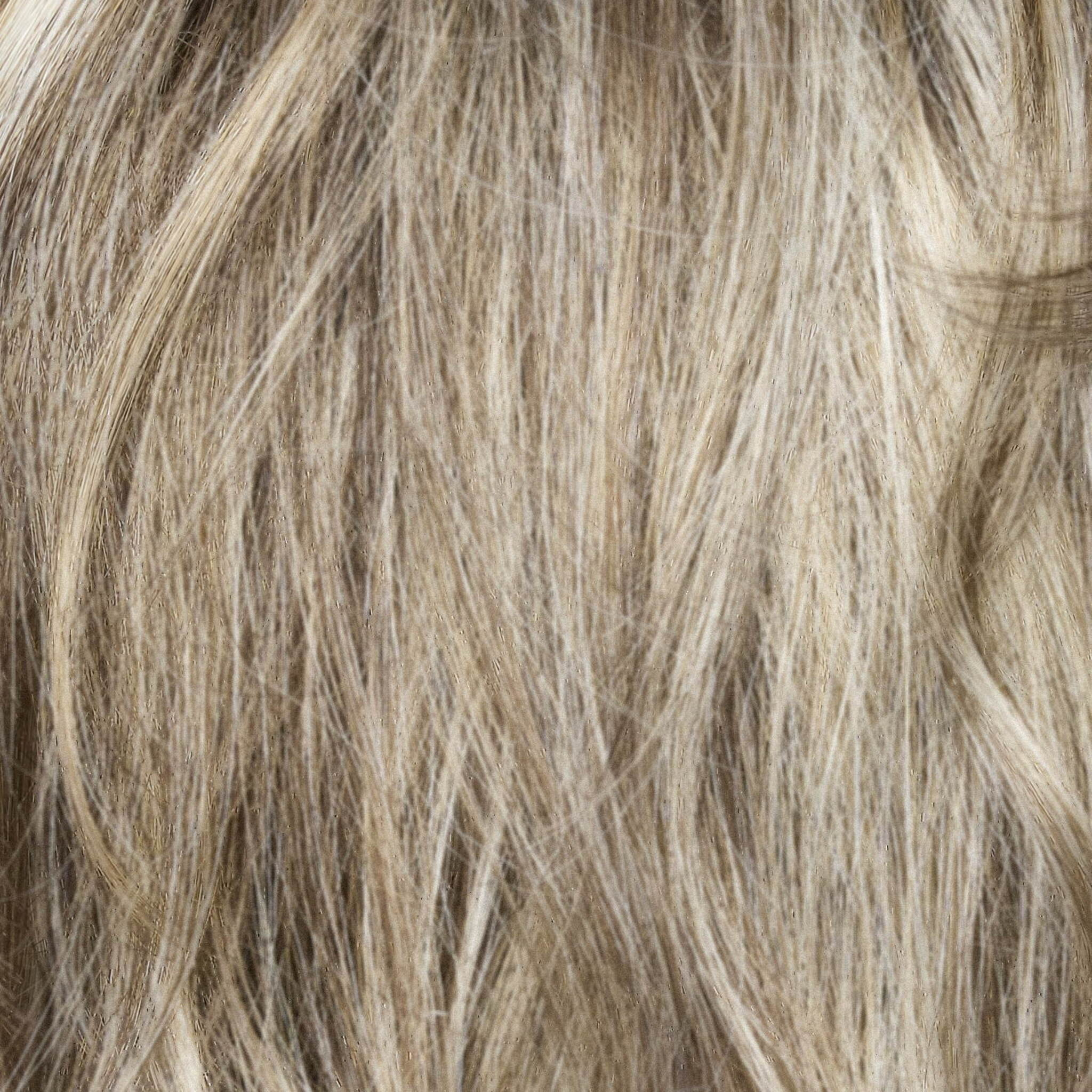Briar Wig - 1729   Noriko Collection