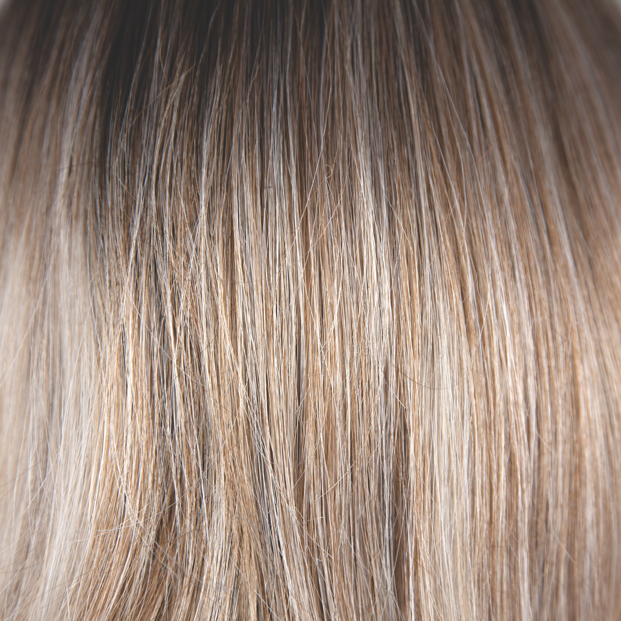 Terra Wig - 2592   Amore Collection
