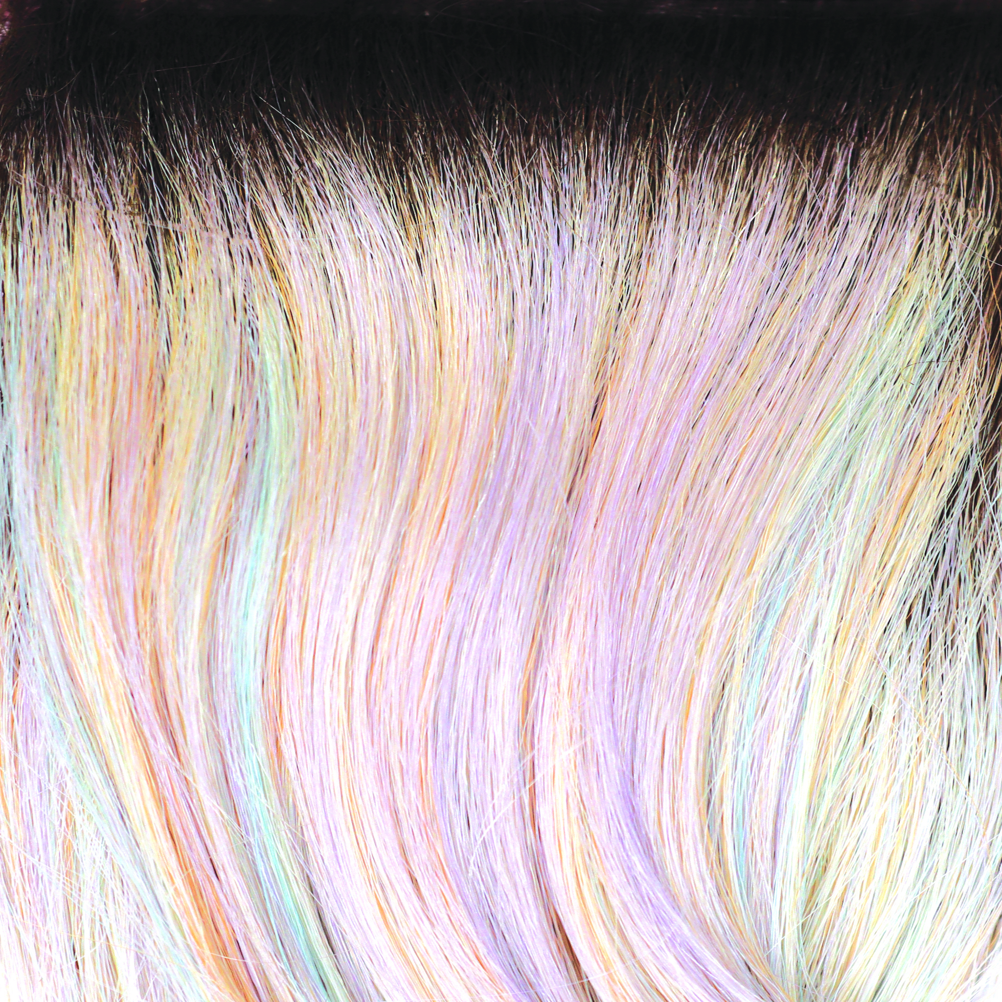 Wren Wig - 2401   ROP Hi Fashion Collection